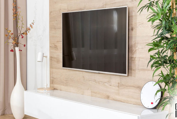tv installation wall mount service